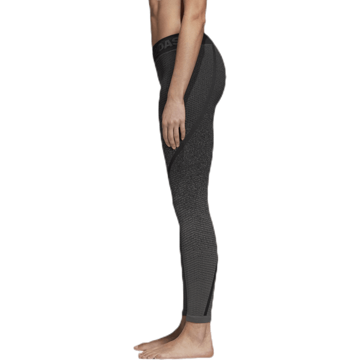 Alphaskin 360 Long Tights Cinzento