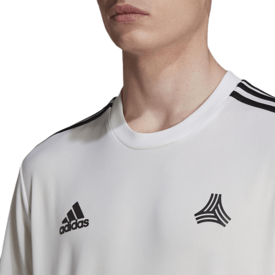 Tango MW LSY LS Bílá