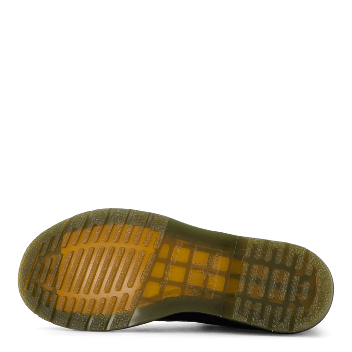 Pascal Black Virginie