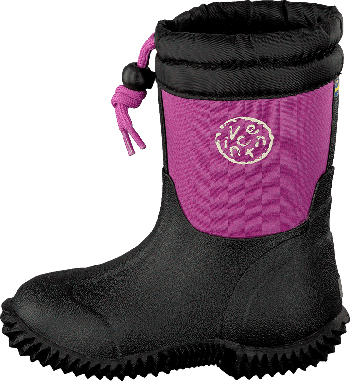 Algot Fuchsia