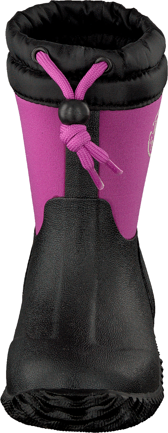 Algot Fuchsia