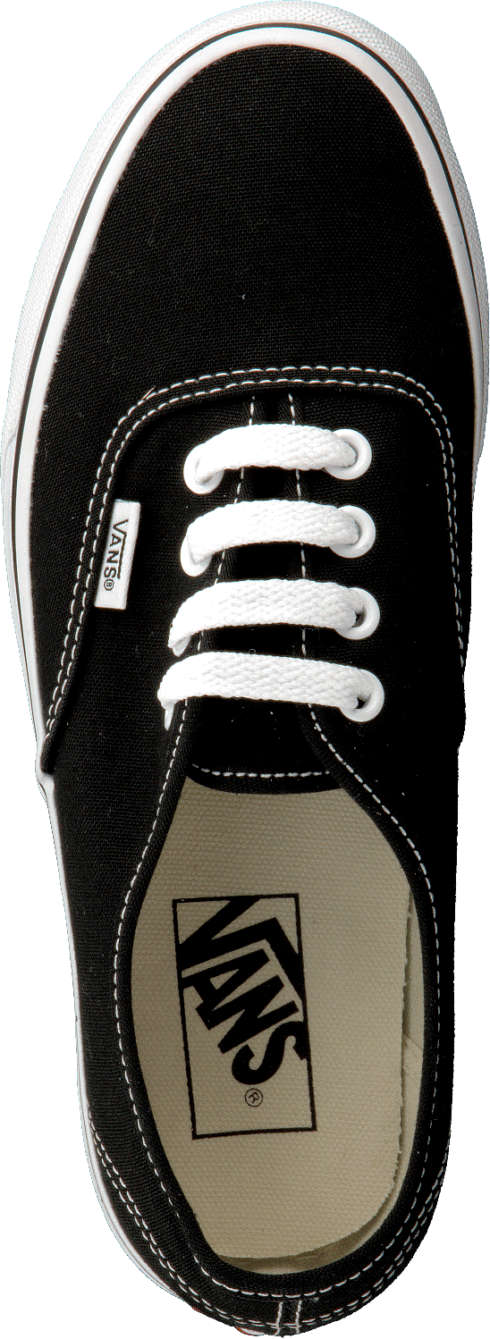 Vans U Authentique