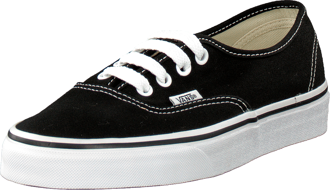 Vans U Authentique