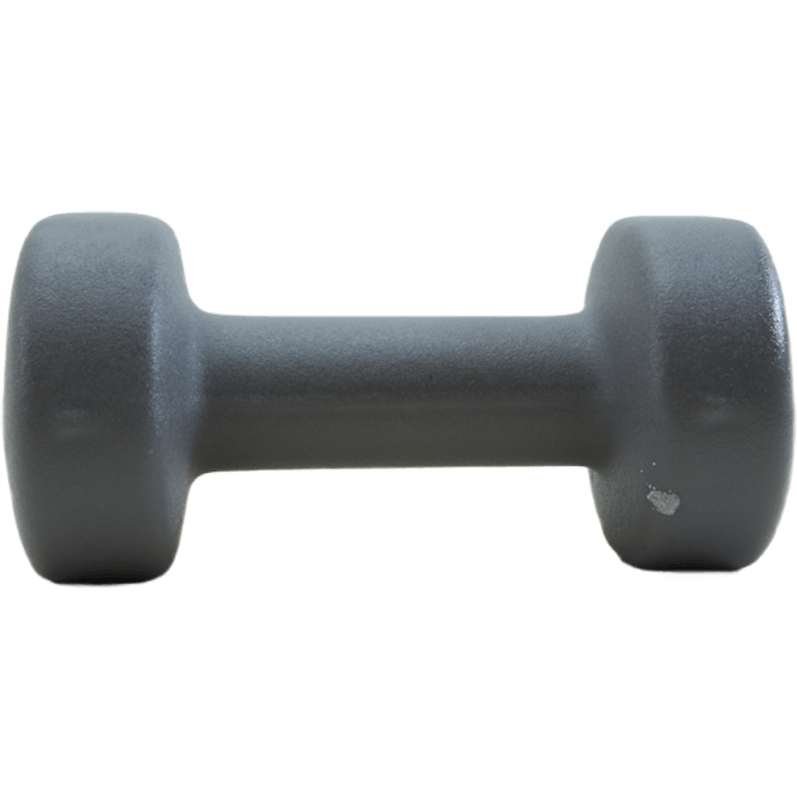 Kurzhantel 4 KG Grau