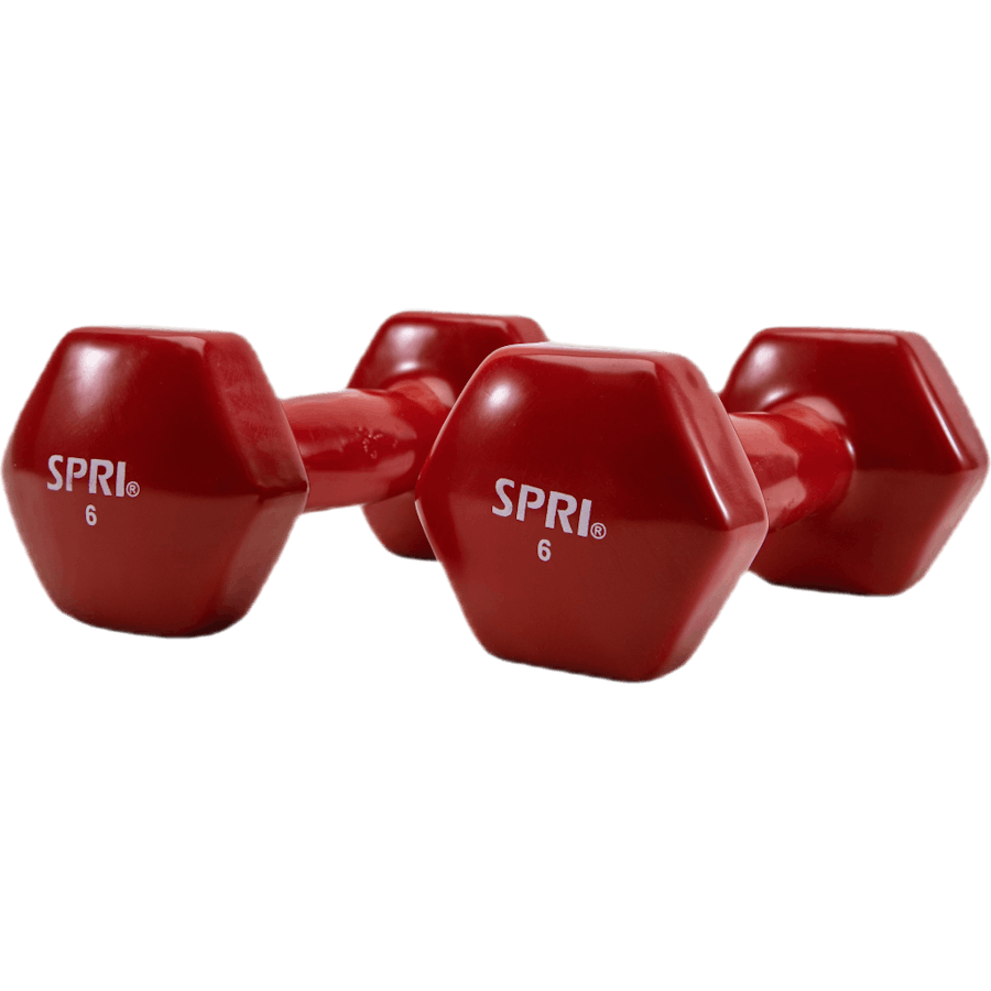 dumbbell vinyl 2,7kg/6lbs – - Main Image