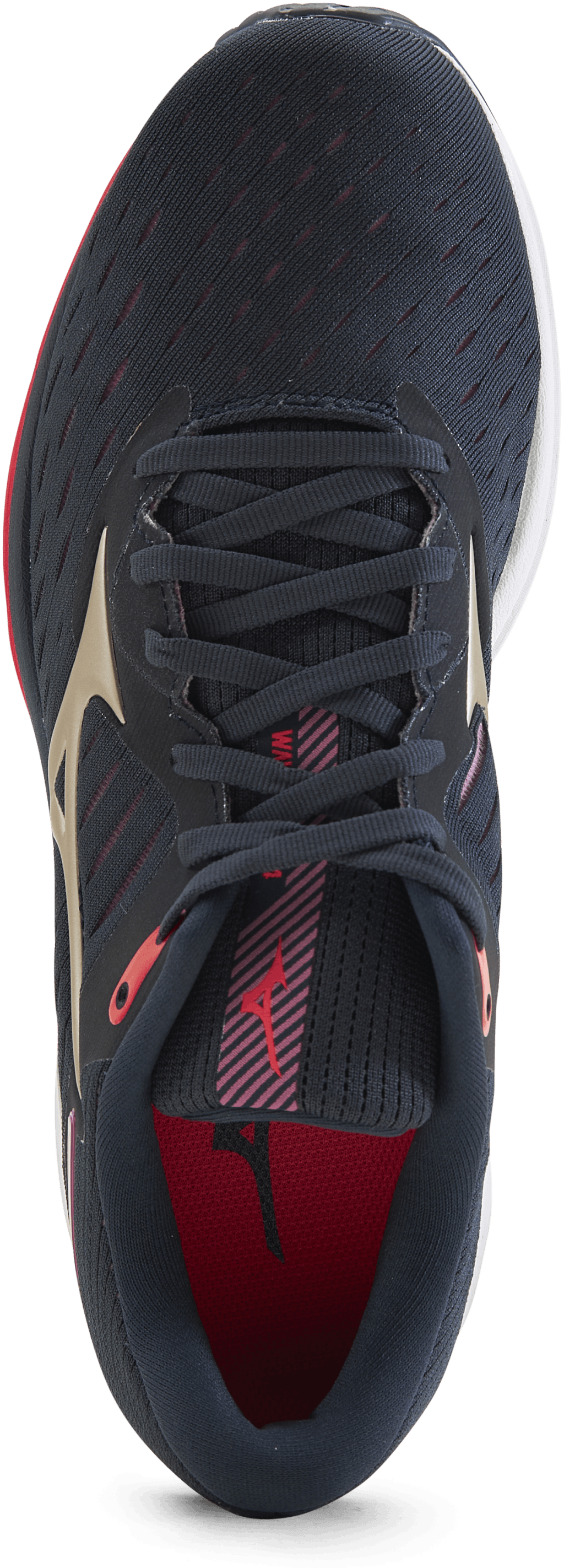 Wave Rider 24 Blue/Purple/Gold