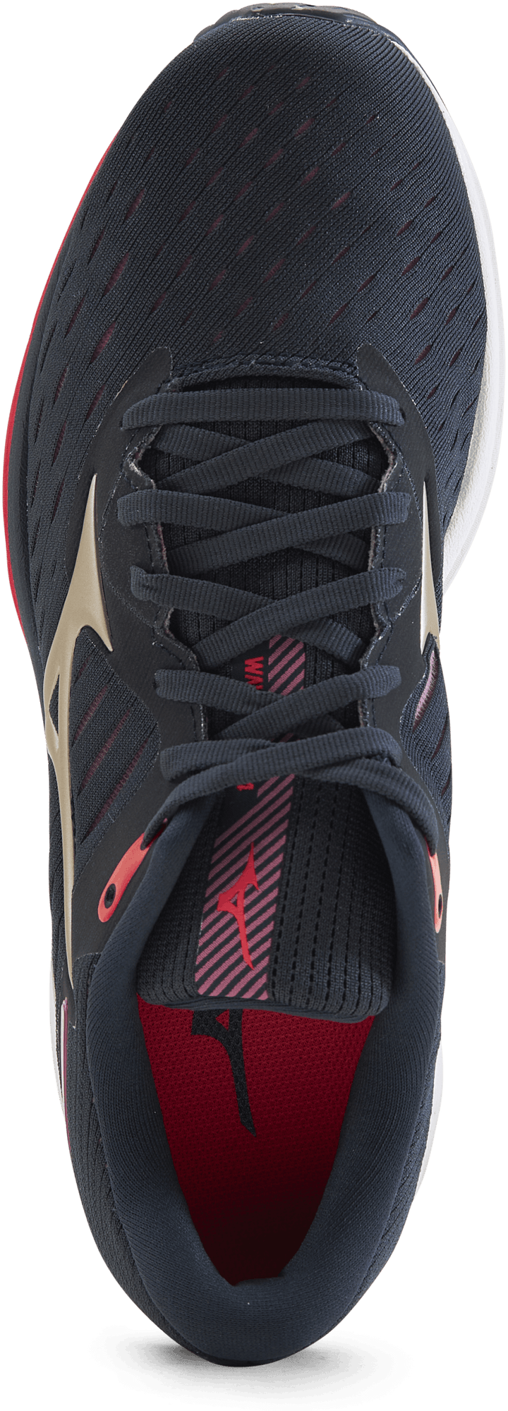 Wave Rider 24 Blue/Purple/Gold