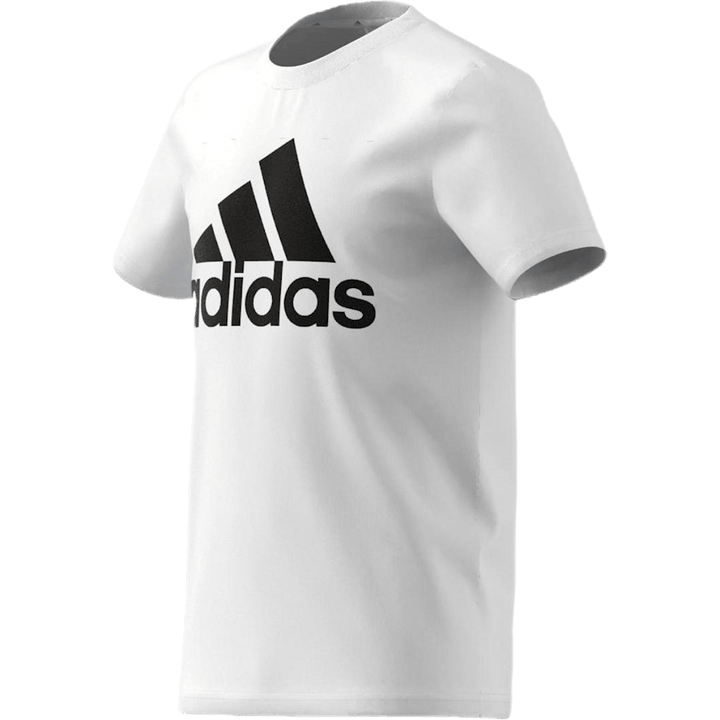 Adidas Boys Essentials Big Logo Tee valge / must