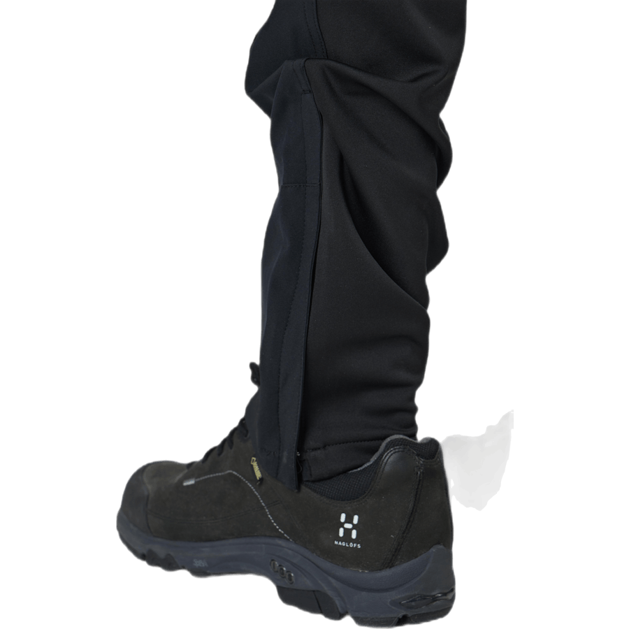 Dorr Black