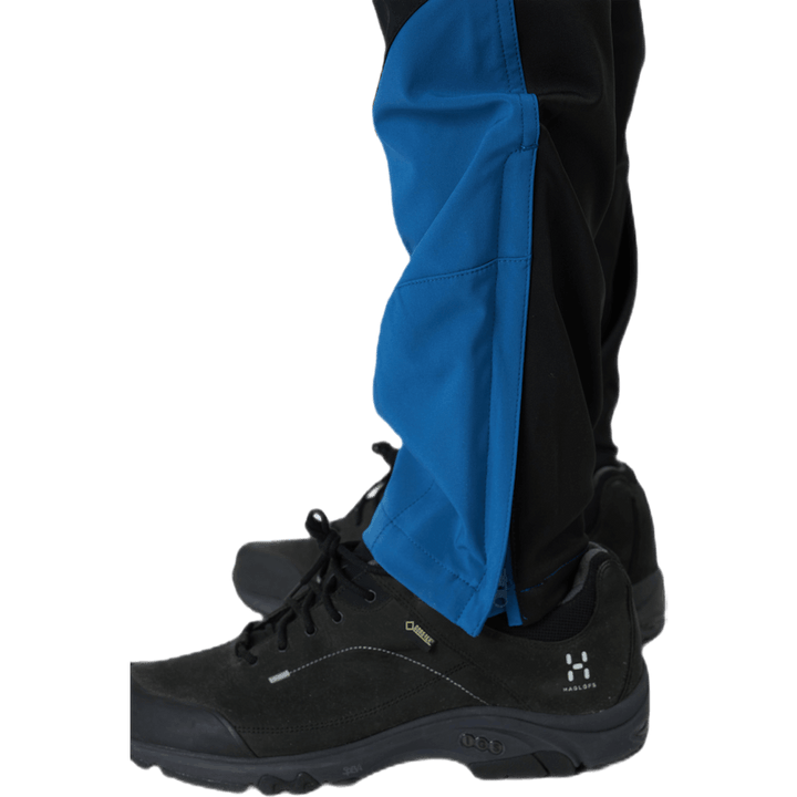 Dorr Blue