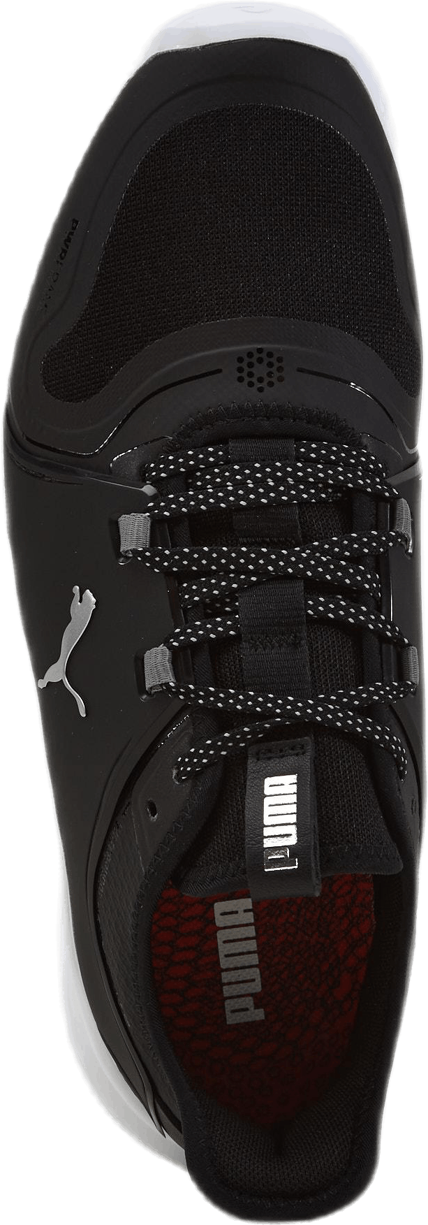 Ignite Fasten8 Musta