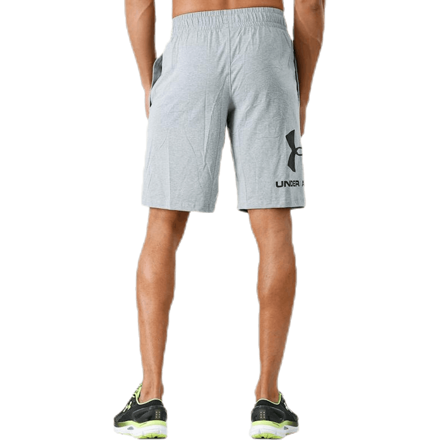 Športový štýl Graphic Short Grey