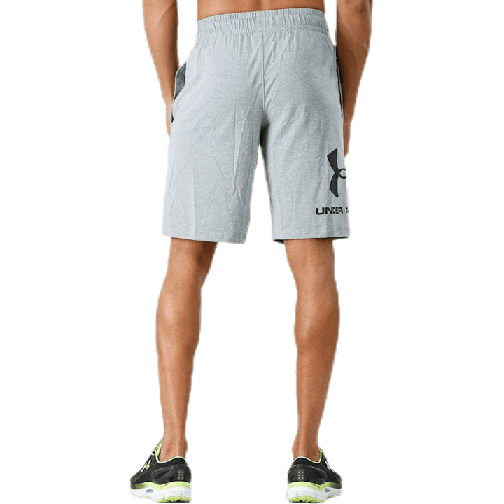 Športový štýl Graphic Short Grey