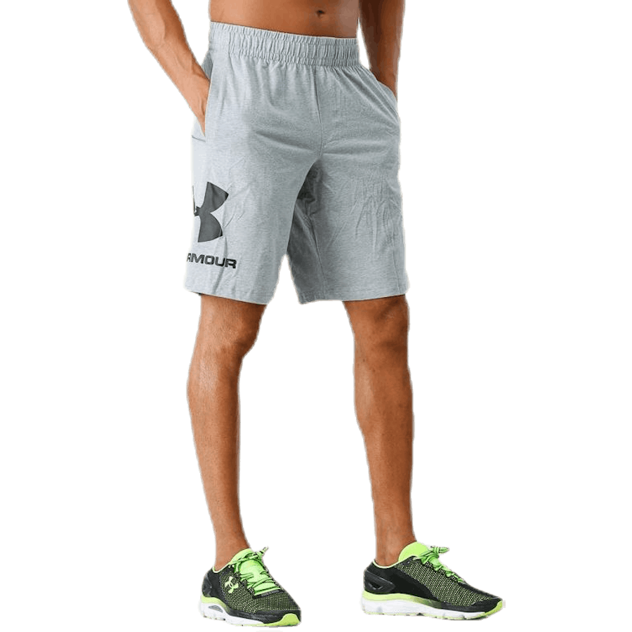 Športový štýl Graphic Short Grey