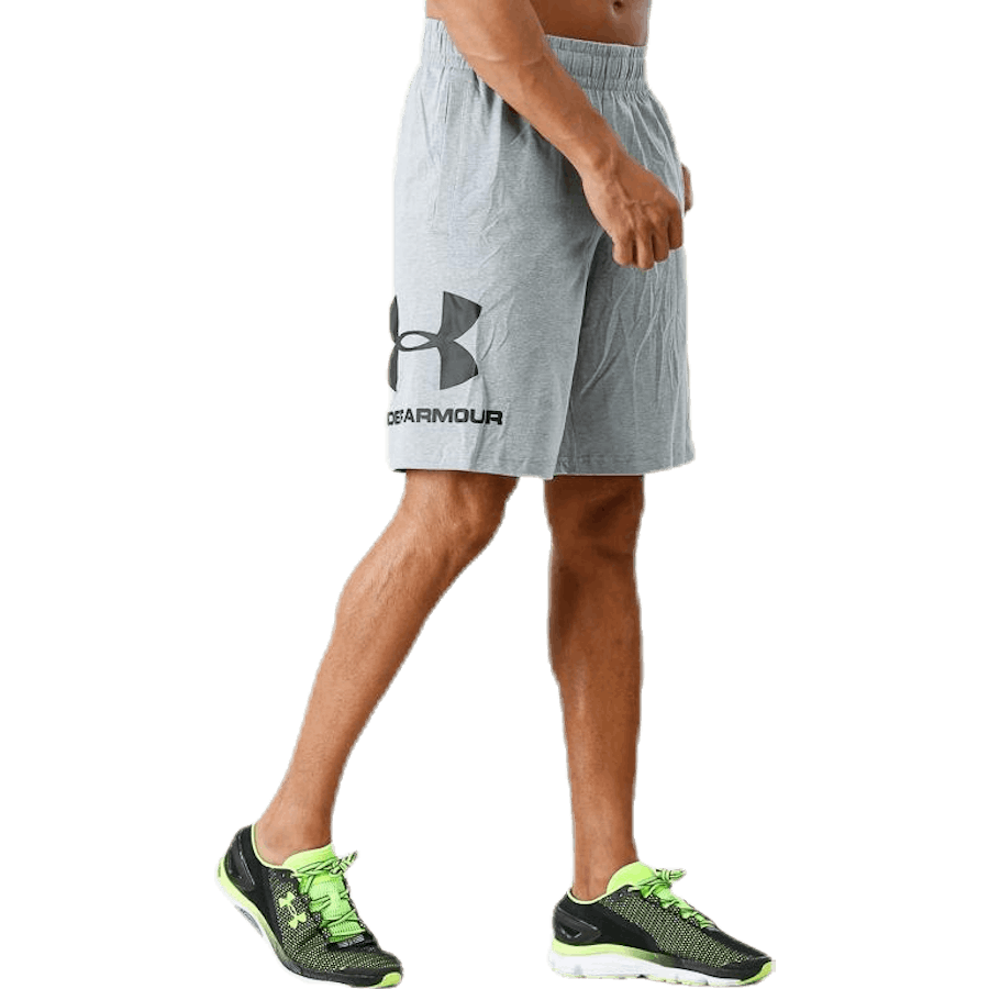 Športový štýl Graphic Short Grey