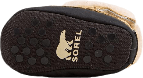 Caribootie II Brown
