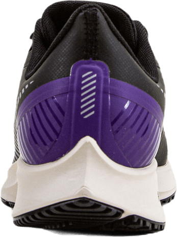 Air Zoom Pegasus 36 Shield Noir/Argent