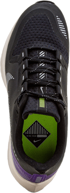 Air Zoom Pegasus 36 Shield Noir/Argent