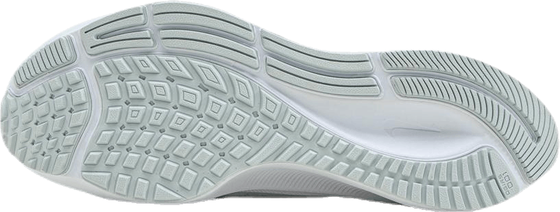 Air Zoom Pegasus 37 Blanc/Gris