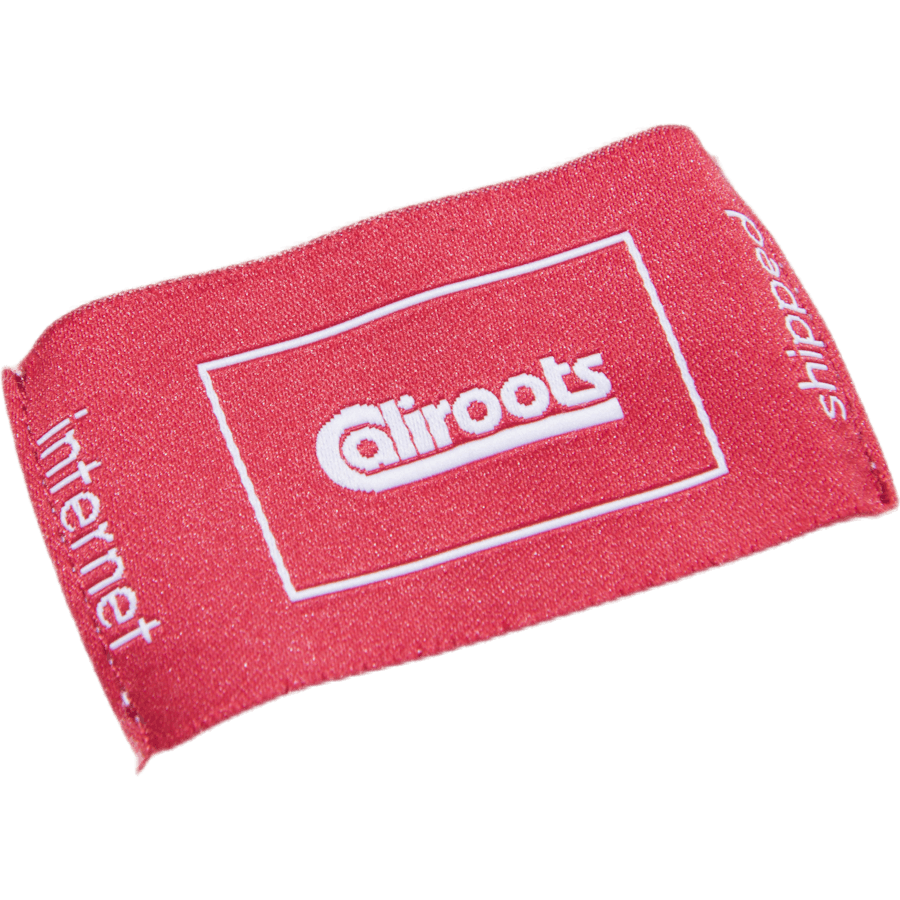 Sweat à capuche zippé Palm Patch Gris