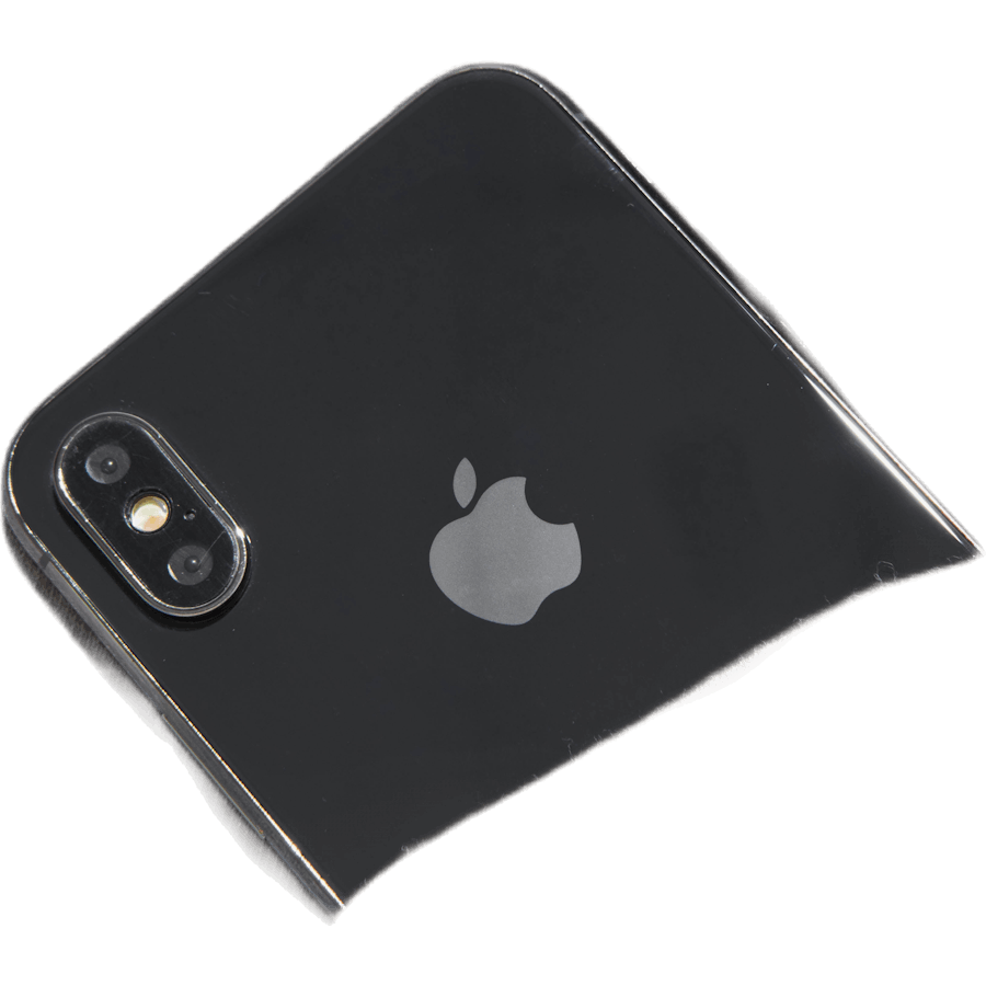 Sweat à capuche zippé Palm Patch Gris