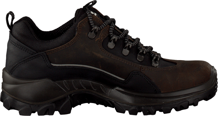 Dakar Treking ID Lontra