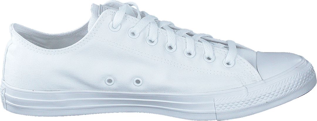 Chuck Taylor All Star Ox Blanc Mono