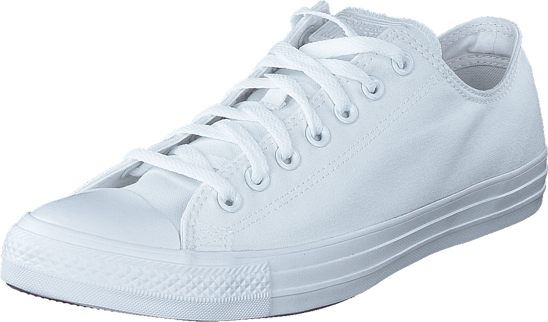 Chuck Taylor All Star Ox Blanc Mono
