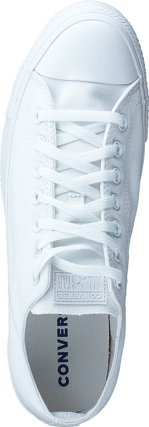 Chuck Taylor All Star Ox Blanc Mono