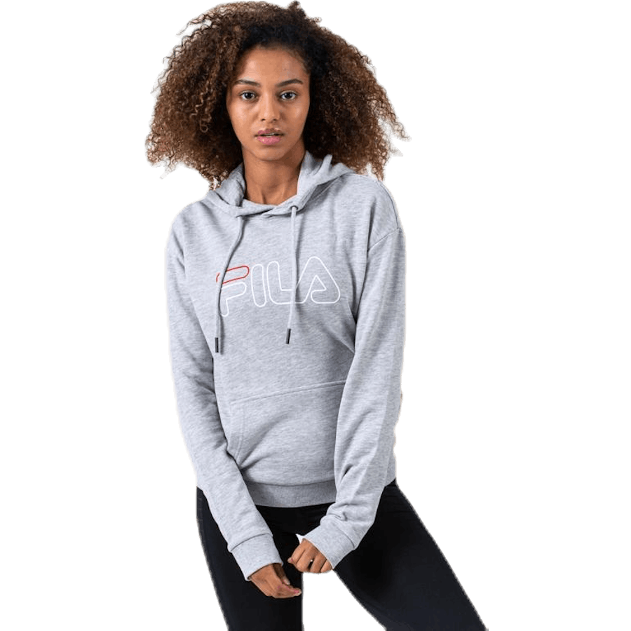 Sweat à capuche Larkin gris