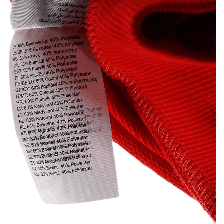 Striukė su gobtuvu Core 2.0 Hood Jacket W Grey/Red