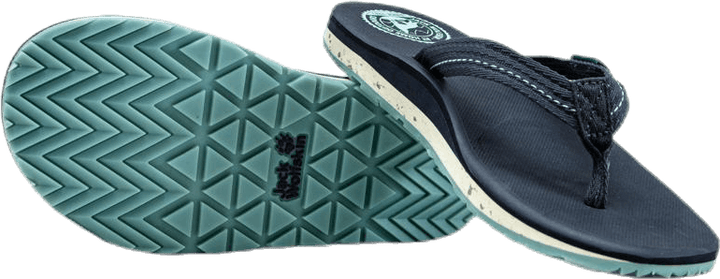 Beachster Vert/Gris