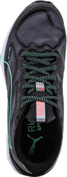 Speed 300 Racer 2 Grey