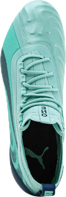 Puma One 20.1 FG/AG Green