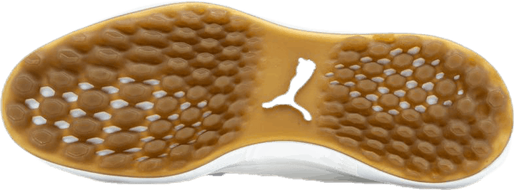 Ignite Nxt Crafted Black