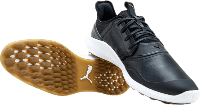 Ignite Nxt Crafted Black