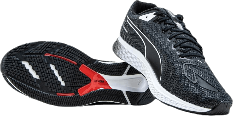 Speed Sutamina 2 White/Black