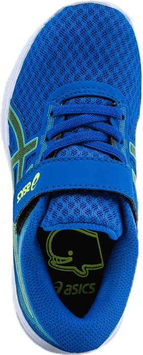 Patriot 11 PS Blå/Grön