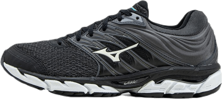 Wave Paradox 5  Patterned