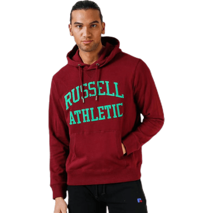 Sweat à capuche emblématique en sergé violet