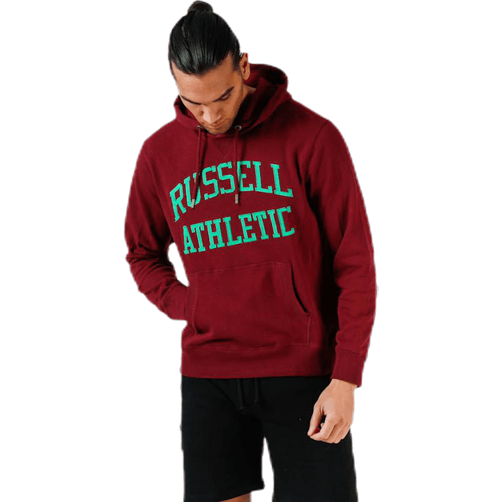 Sweat à capuche emblématique en sergé violet