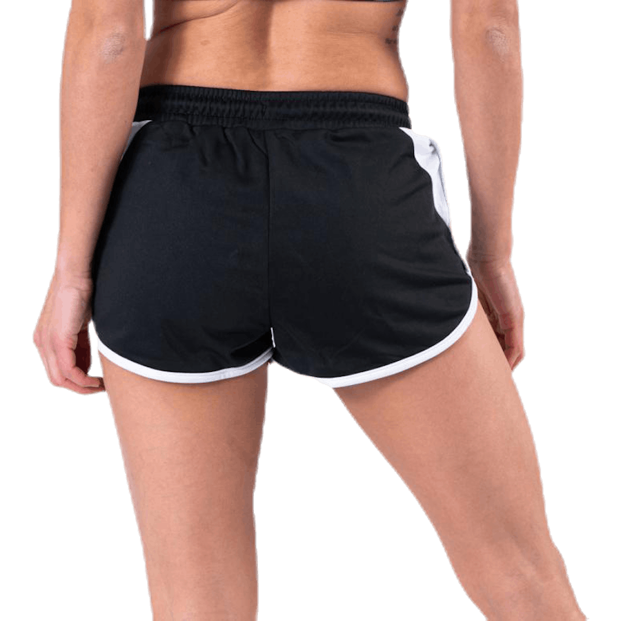 El Sigismonda Black