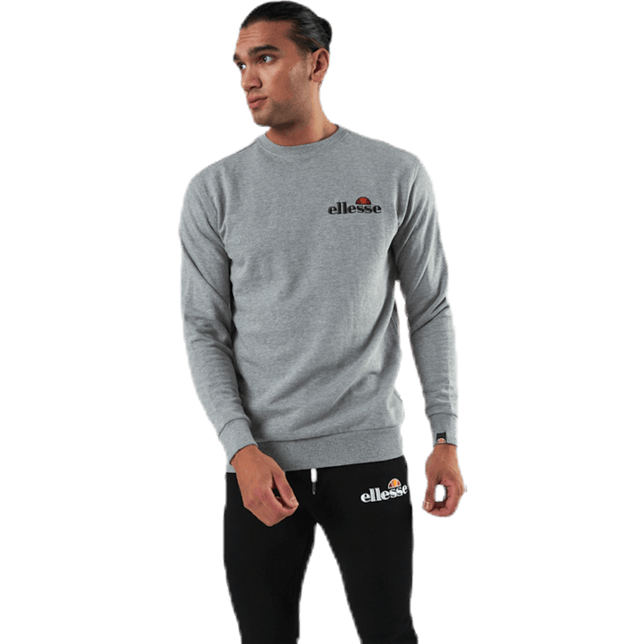 El Fierro Sweatshirt Grijs