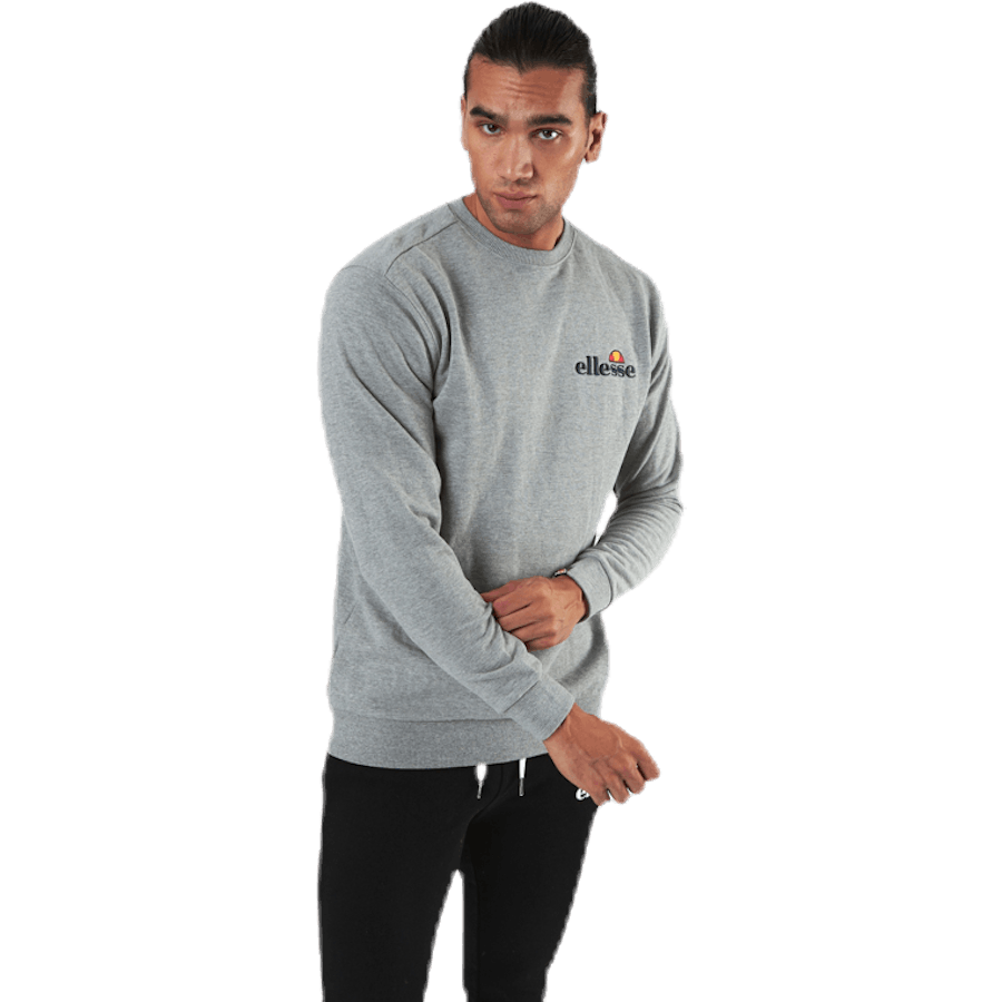 El Fierro Sweatshirt Grijs