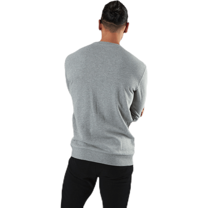 El Fierro Sweatshirt Grijs