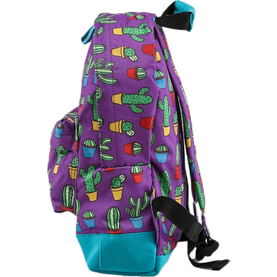 Mini-Kakteen Rosa