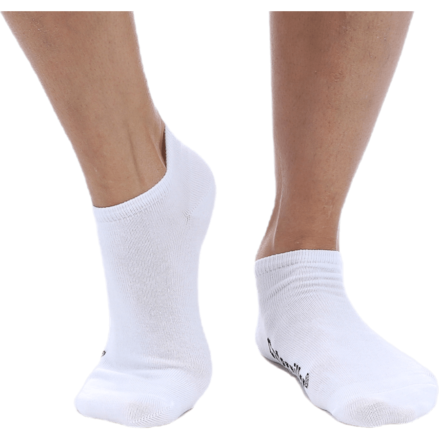 Pack de 3 Low Cat Blanc