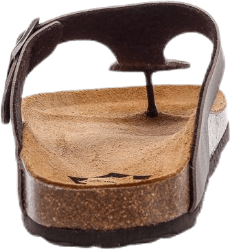 Aragon Brown