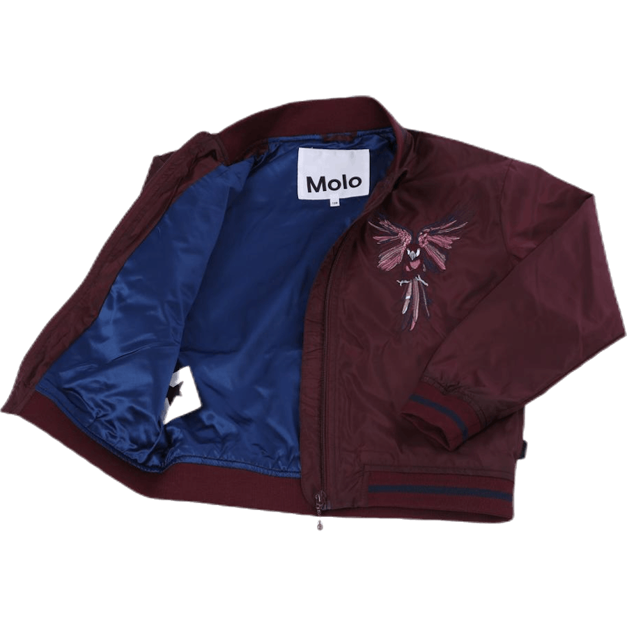 Blouson aviateur Hazey violet