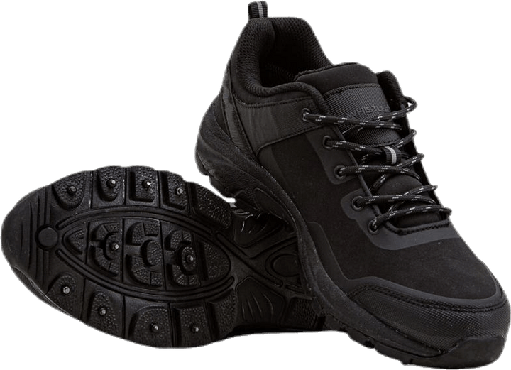 Lake Low Cut Ice shoe Black